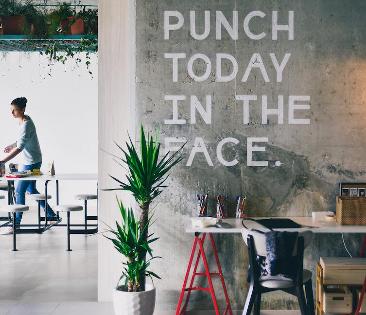 Punch today in the face